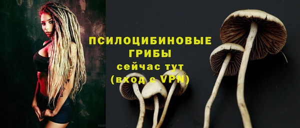 молекула духа Аркадак