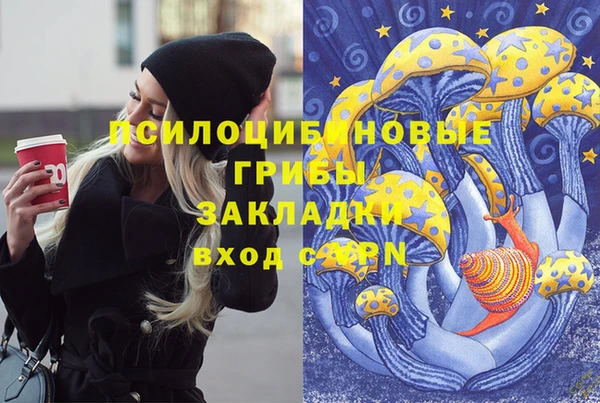 молекула духа Аркадак