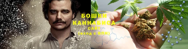 молекула духа Аркадак